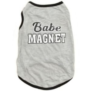 Koiran T-paita Babe Magnet